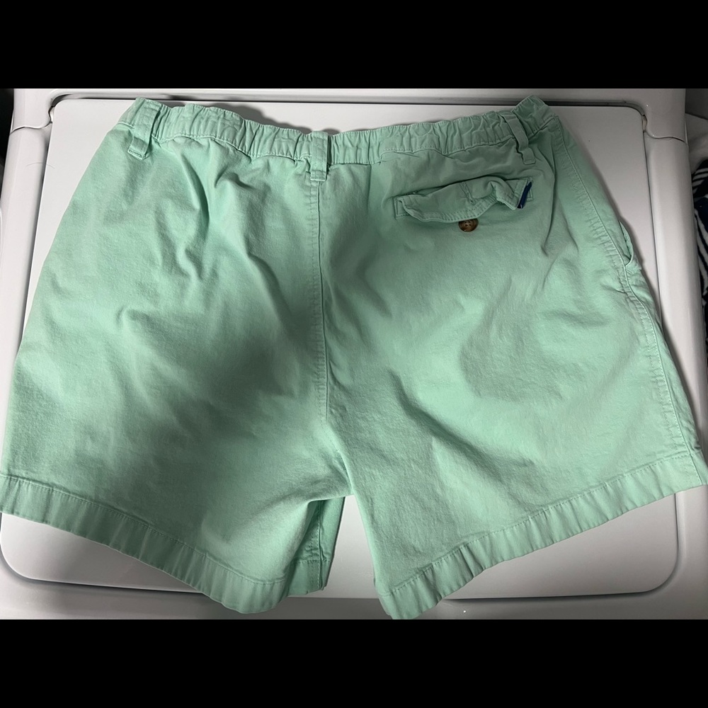 Chubbies 5.5” Teal XL